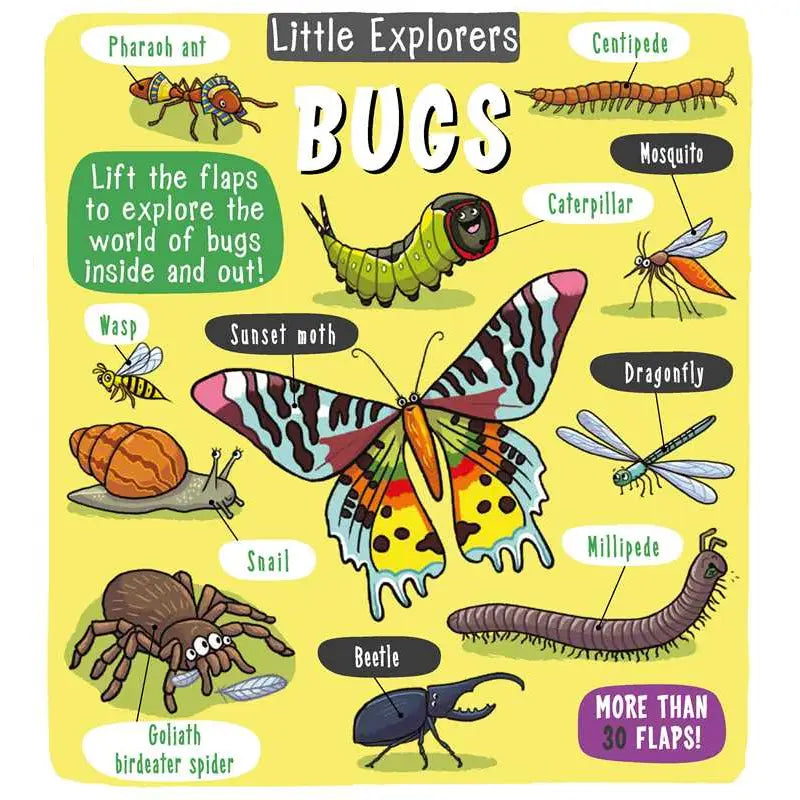 Little Explorers: Bugs Simon & Schuster Lil Tulips