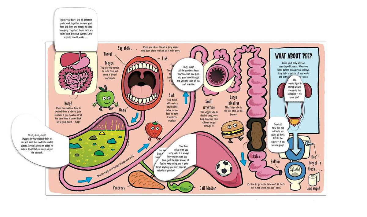 Little Explorers: My Amazing Body Simon & Schuster Lil Tulips