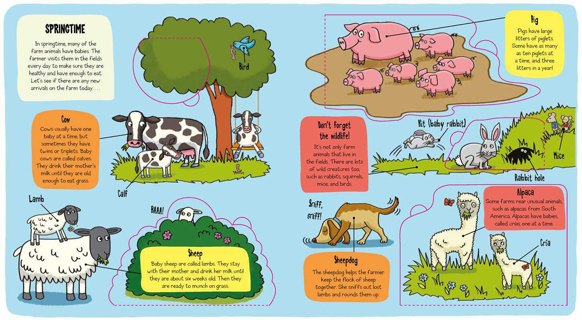 Little Explorers: The Farm Simon & Schuster Lil Tulips