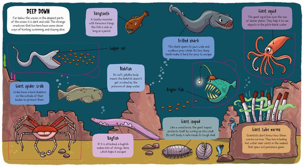 Little Explorers: Under the Sea Simon & Schuster Lil Tulips