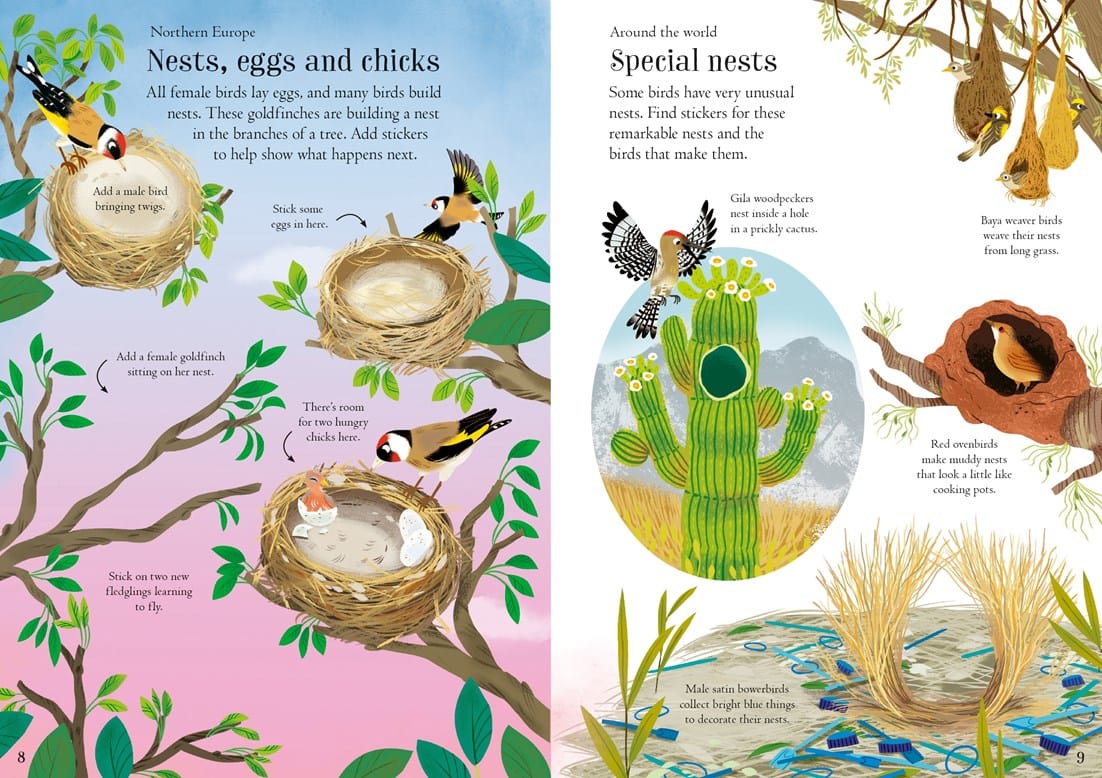 Little First Stickers Birds Harper Collins Childrens Lil Tulips