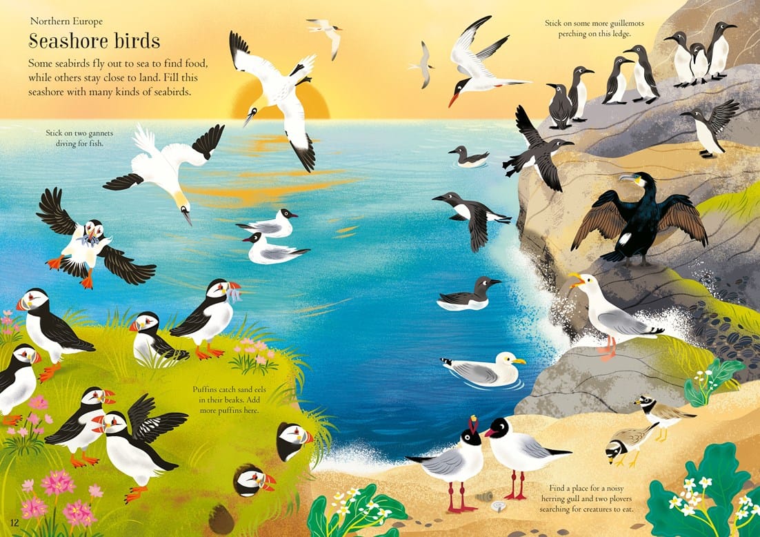 Little First Stickers Birds Harper Collins Childrens Lil Tulips