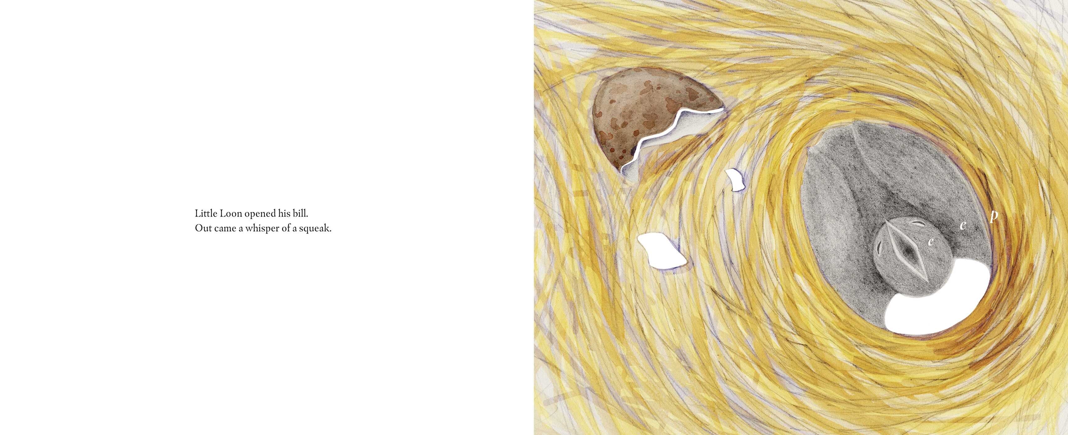 Little Loon Finds His Voice Simon & Schuster Books Lil Tulips