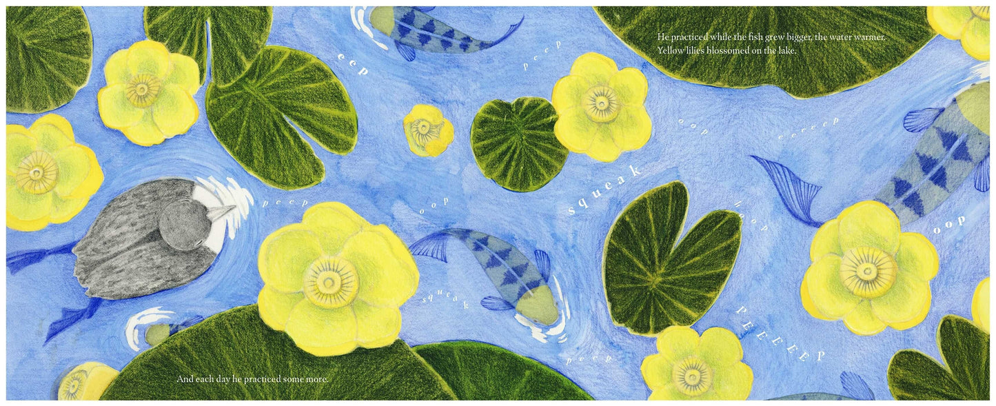 Little Loon Finds His Voice Simon & Schuster Books Lil Tulips