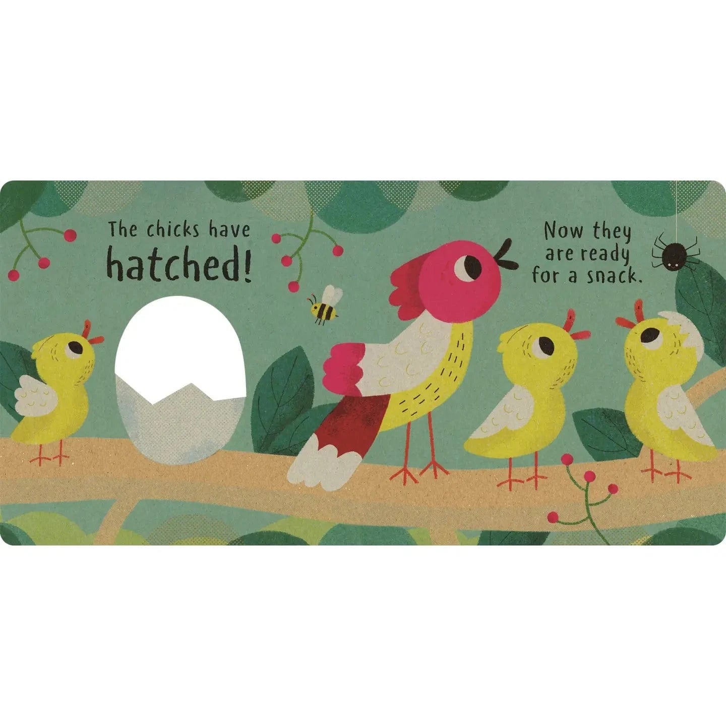 Little Nature: Hatch EDC Publishing Lil Tulips