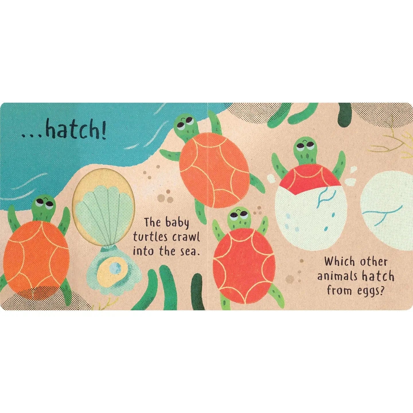 Little Nature: Hatch EDC Publishing Lil Tulips