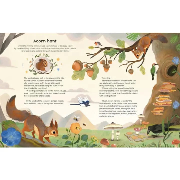 Little Stories from Nature By Altea Villa Union Square & Co. Lil Tulips