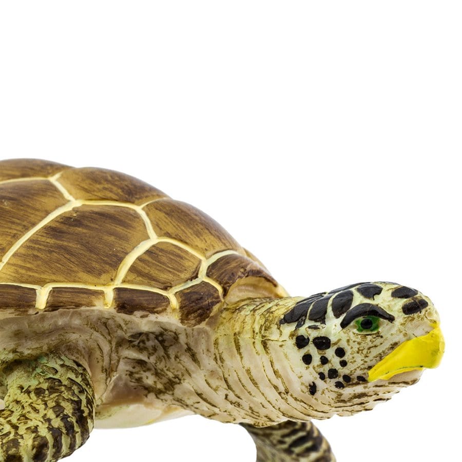 Loggerhead Turtle Toy Safari Ltd Lil Tulips