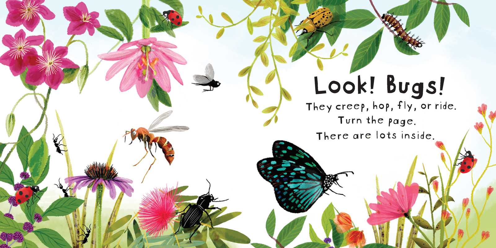 Look! Bugs! Book Simon & Schuster Lil Tulips