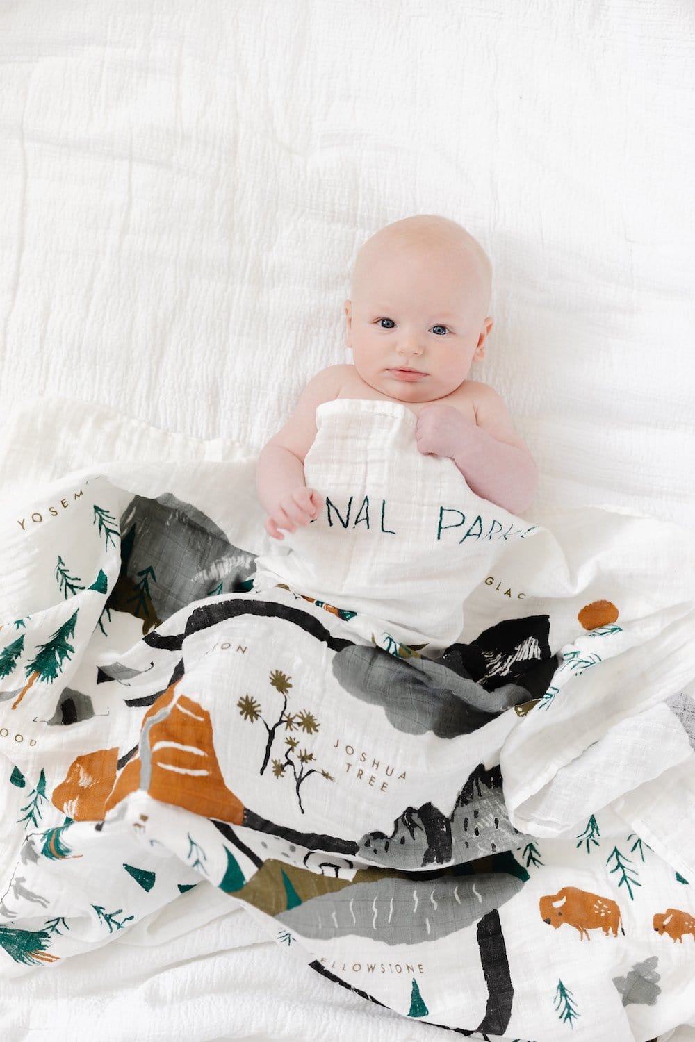 National Parks Swaddle Clementine Kids Lil Tulips