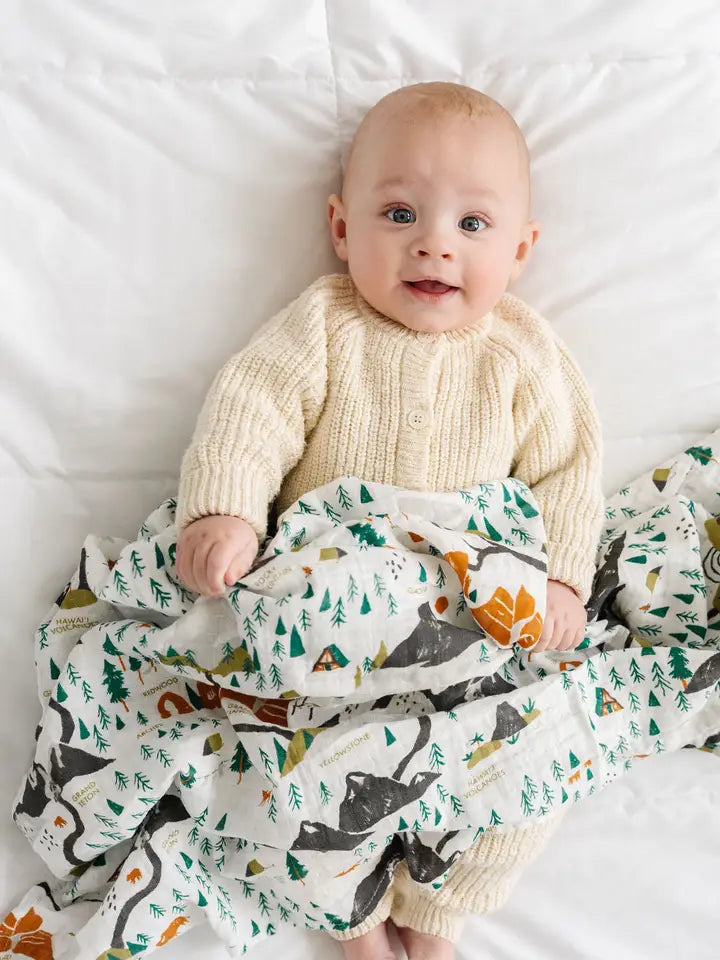 National Parks Swaddle (Mini Pattern) Clementine Kids Lil Tulips