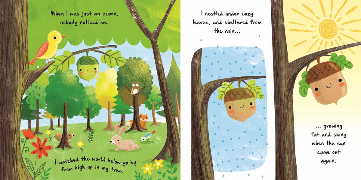 Nature Stories: Little Acorn Simon & Schuster Lil Tulips