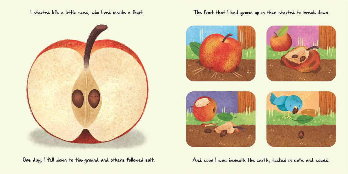 Nature Stories: Little Apple Tree Simon & Schuster Lil Tulips
