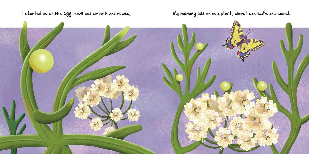 Nature Stories: Little Caterpillar Simon & Schuster Lil Tulips