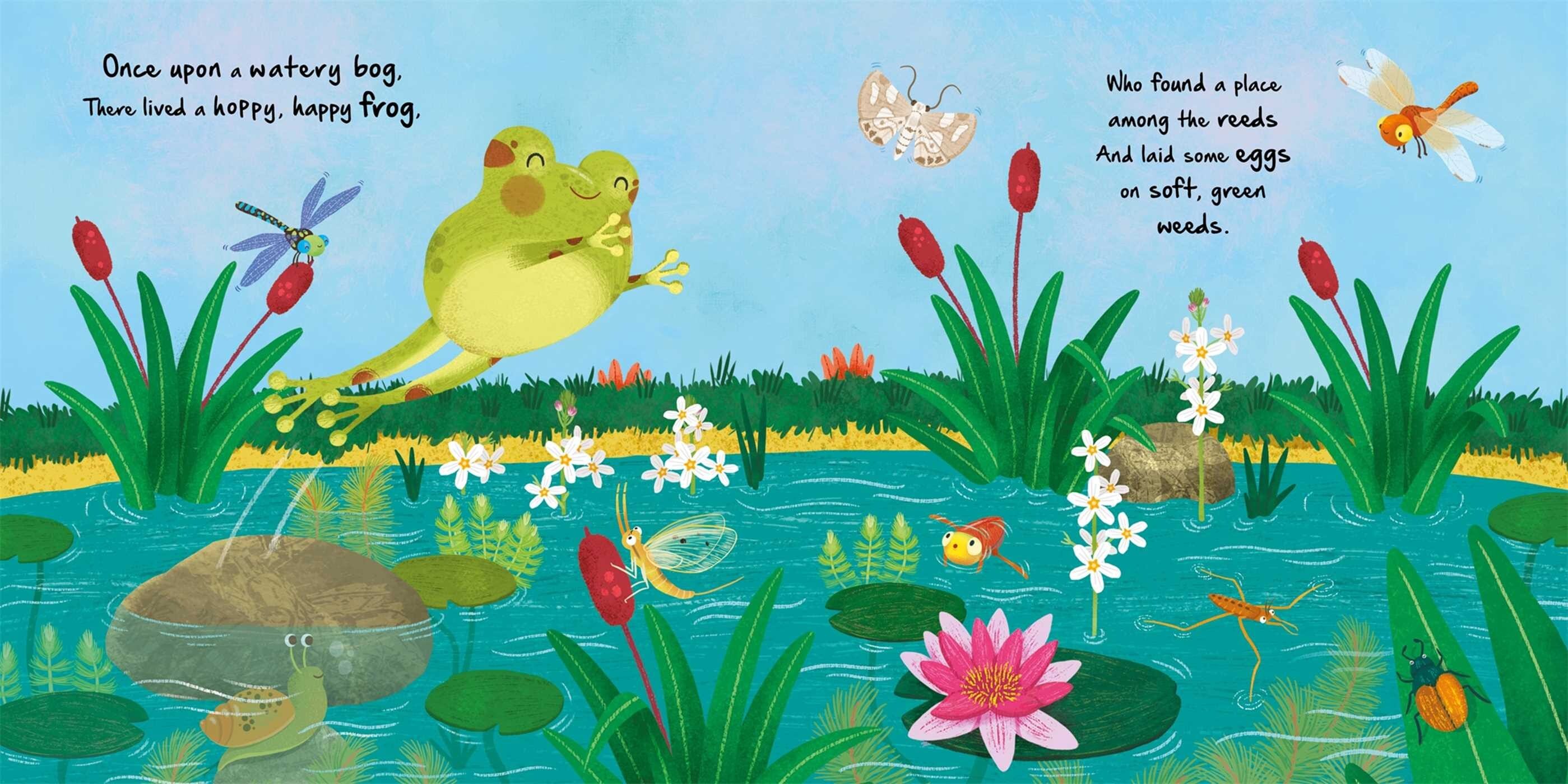 Nature Stories: Little Frog - Board Book Simon & Schuster Lil Tulips