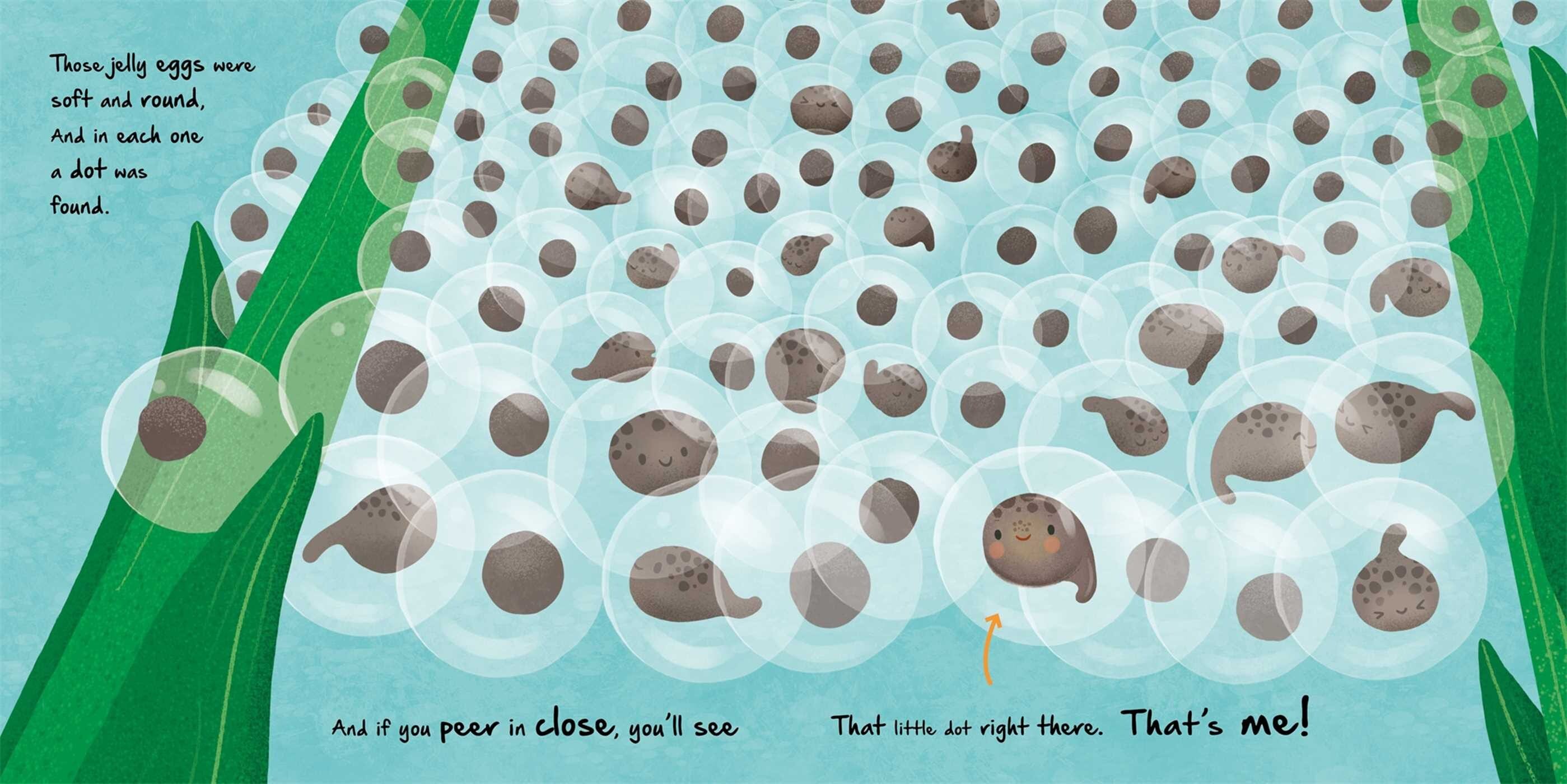 Nature Stories: Little Frog - Board Book Simon & Schuster Lil Tulips