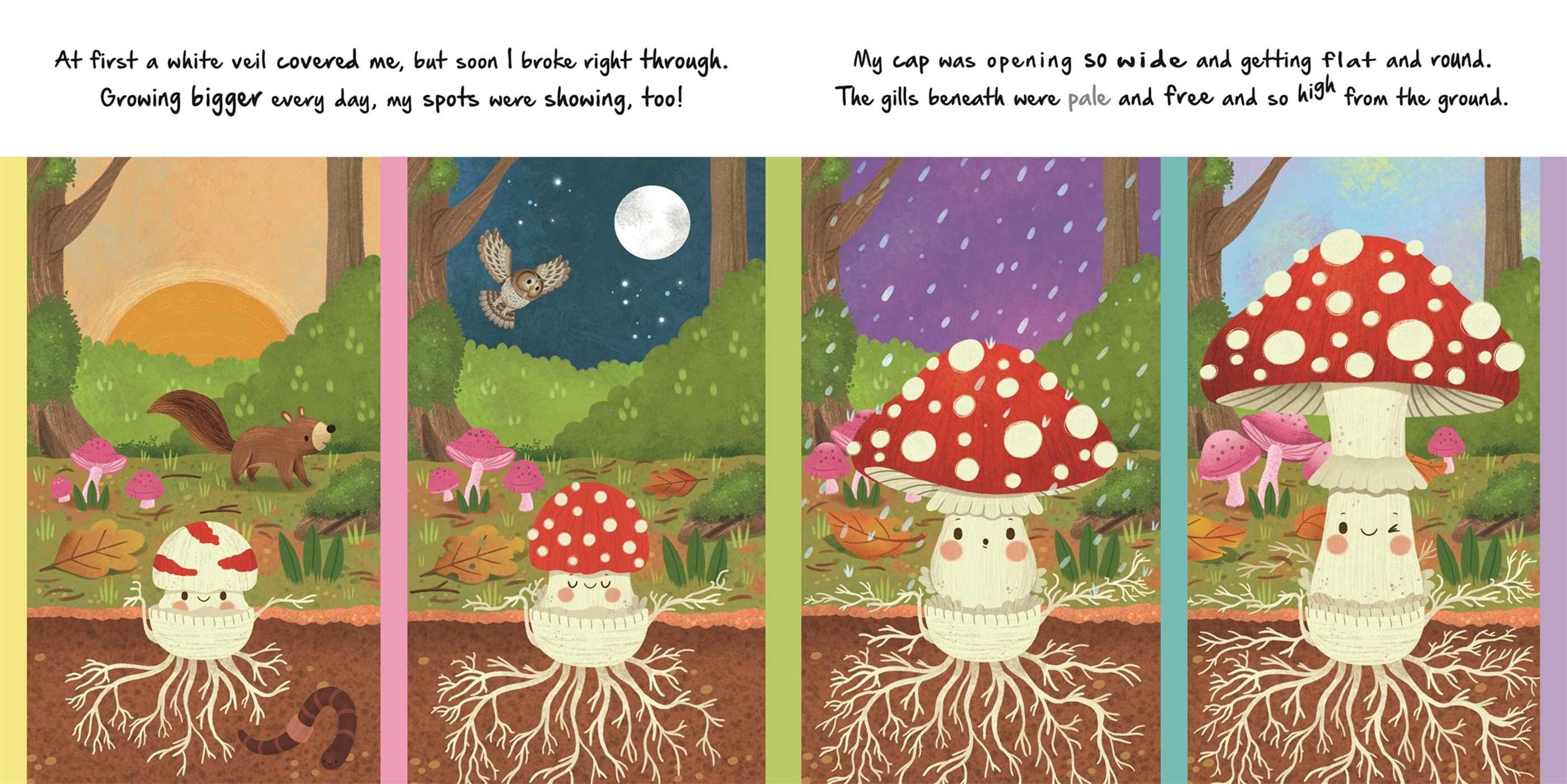 Nature Stories: Little Mushroom - Board Book Simon & Schuster Lil Tulips