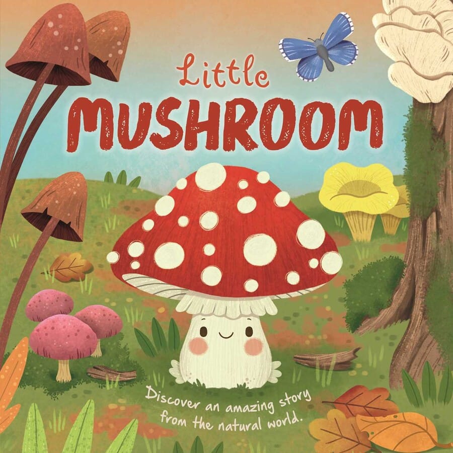 Nature Stories: Little Mushroom - Board Book Simon & Schuster Lil Tulips