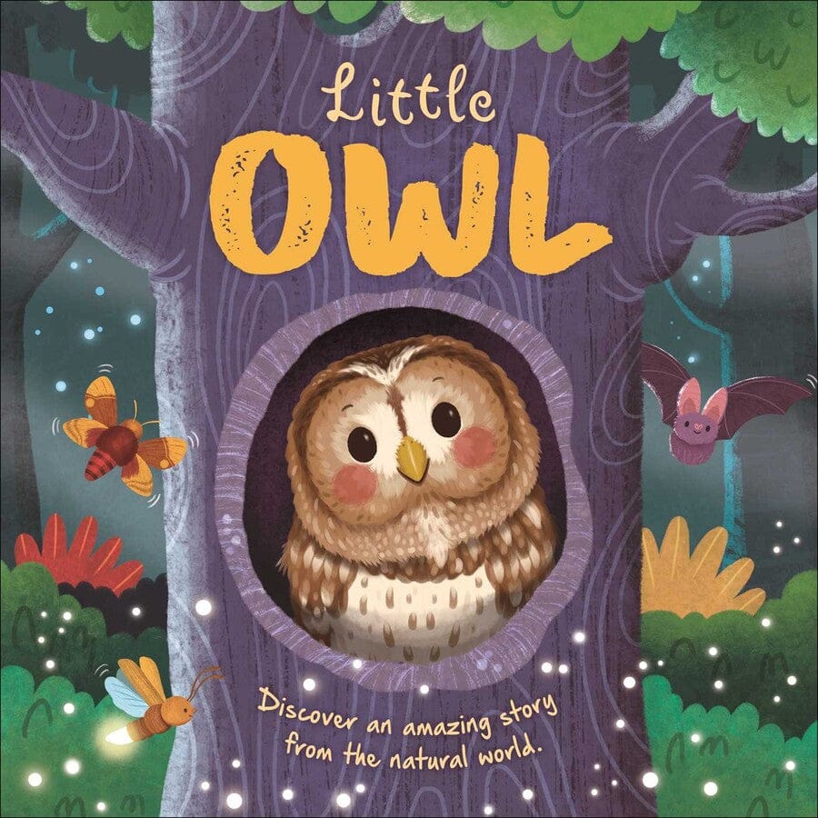 Nature Stories: Little Owl-Discover An Amazing Story Board Book Simon & Schuster Lil Tulips