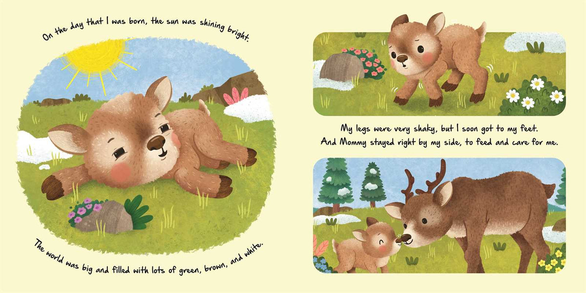 Nature Stories: Little Reindeer - Board Book Simon & Schuster Lil Tulips