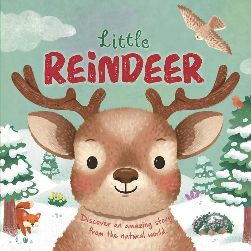 Nature Stories: Little Reindeer - Board Book Simon & Schuster Lil Tulips