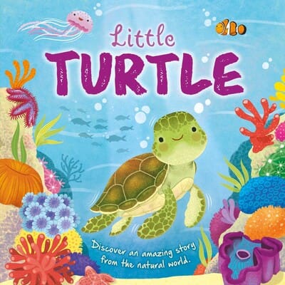 Nature Stories: Little Turtle - Board Book Simon & Schuster Lil Tulips