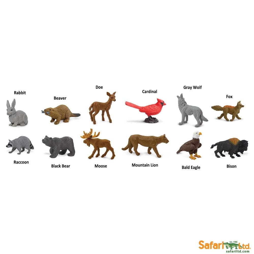 Nature TOOB® Safari Ltd Lil Tulips