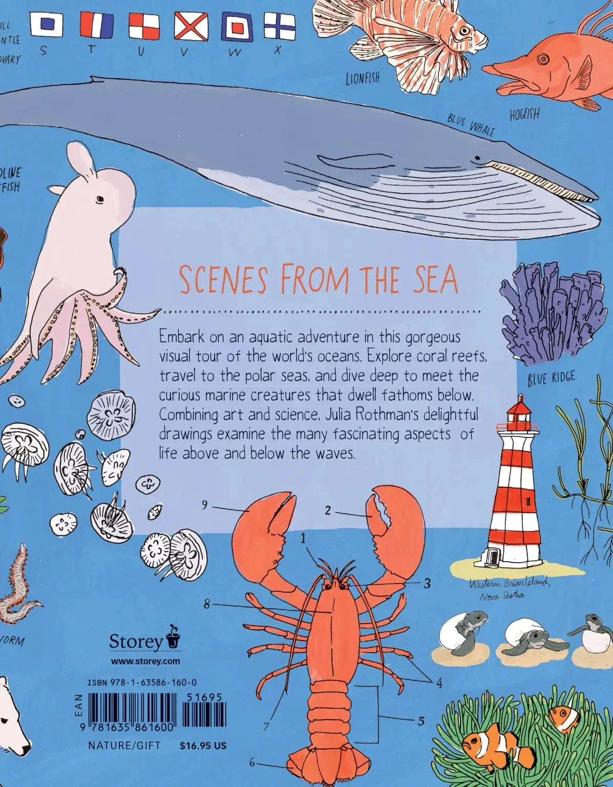 Ocean Anatomy Book Hachette Lil Tulips