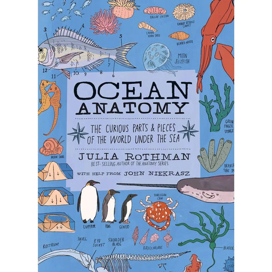 Ocean Anatomy Book Hachette Lil Tulips