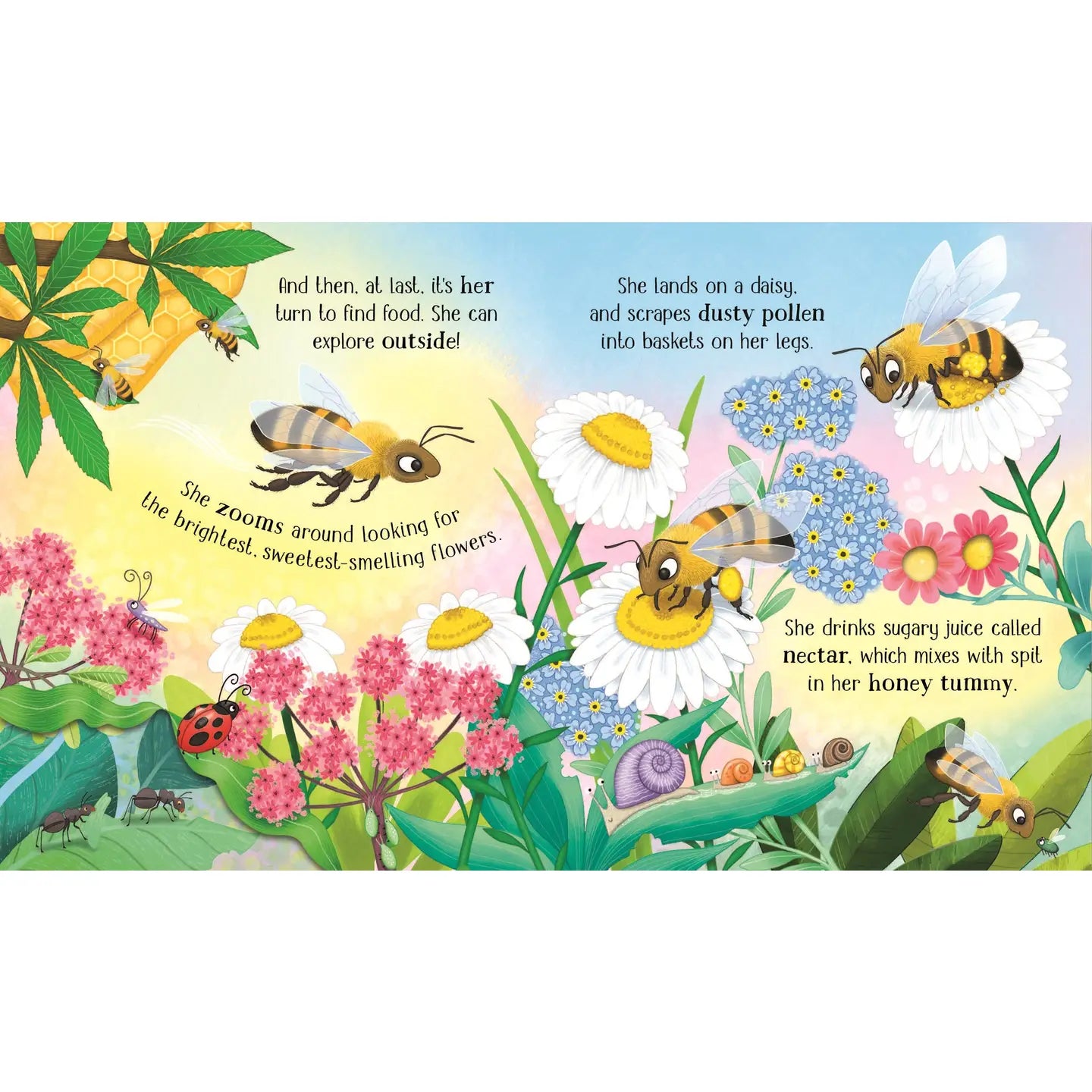 One Little Bee Board Book Harper Collins Childrens Lil Tulips