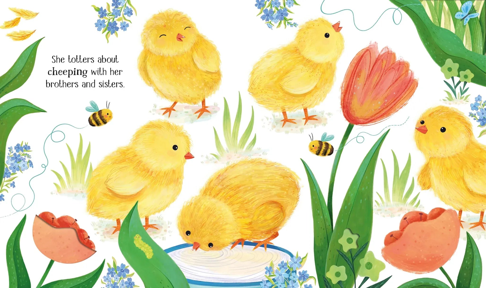 One Little Chick Board Book Harper Collins Childrens Lil Tulips