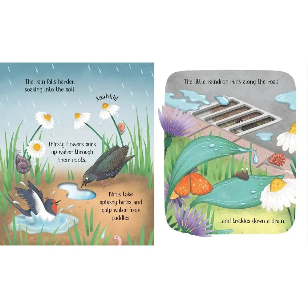 One Little Raindrop Harper Collins Childrens Lil Tulips