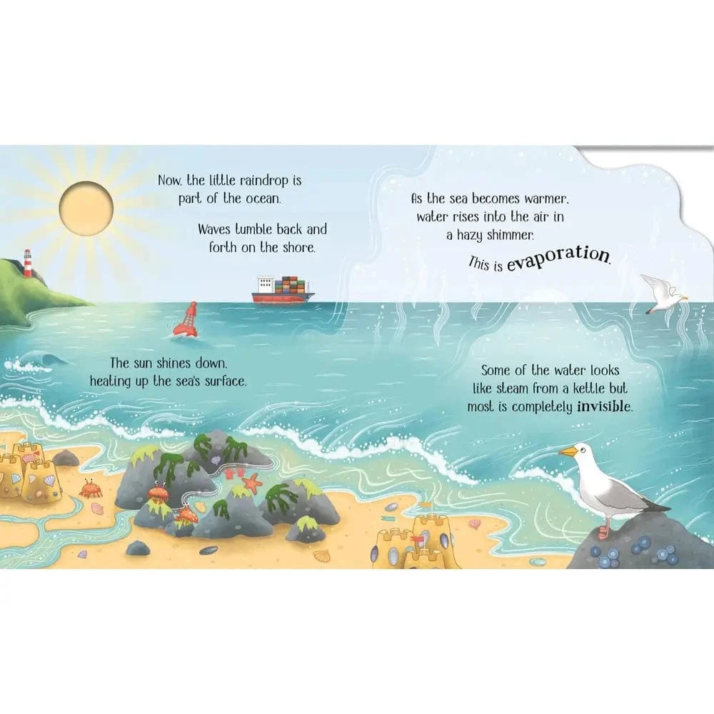 One Little Raindrop Harper Collins Childrens Lil Tulips