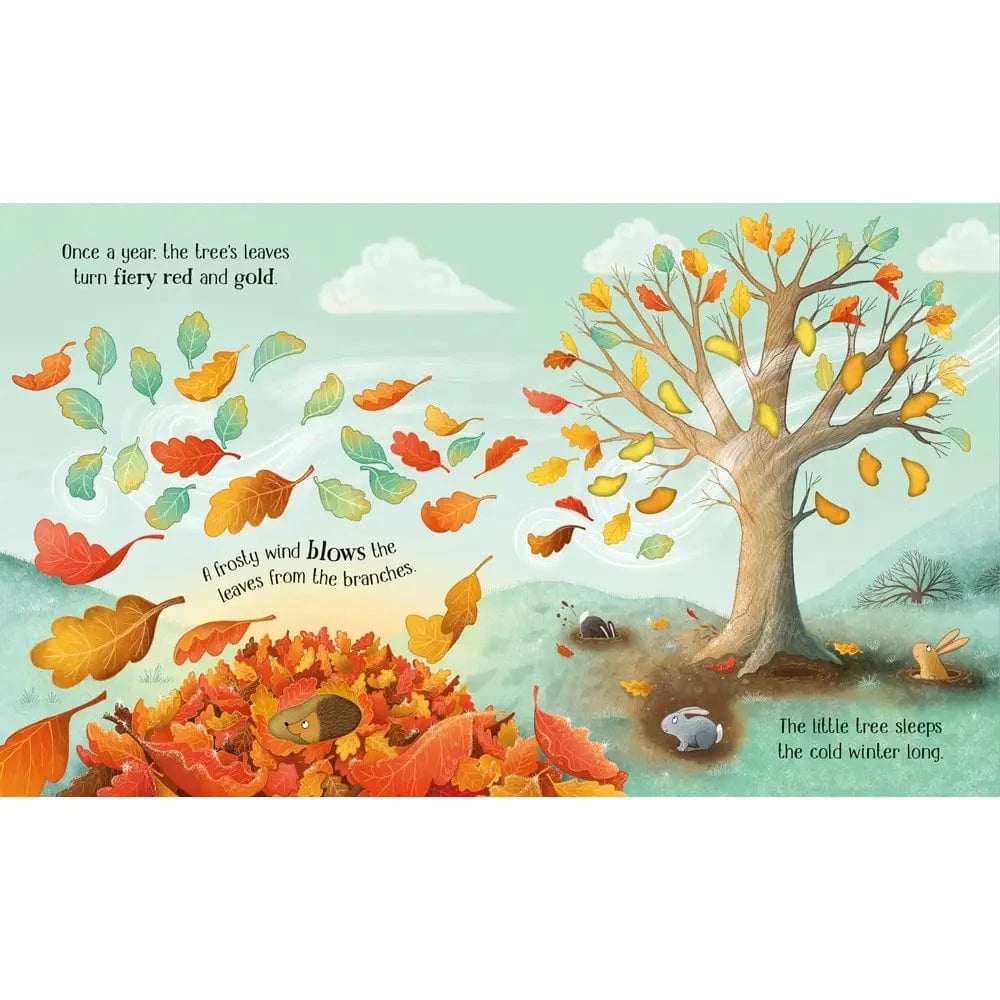 One Little Tree Harper Collins Childrens Lil Tulips