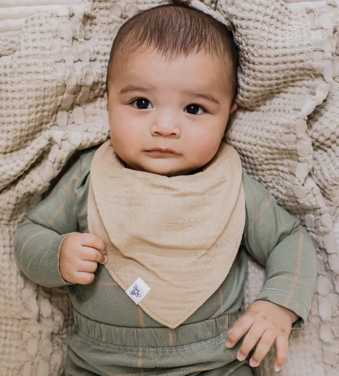 Organic Cotton Baby Bandana Bibs - Ash Burt's Bees Baby Lil Tulips