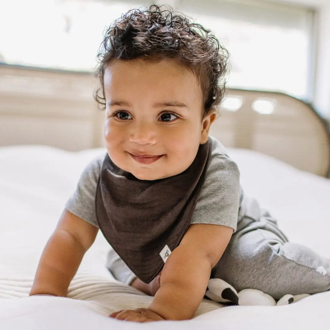 Organic Cotton Baby Bandana Bibs - Ash Burt's Bees Baby Lil Tulips
