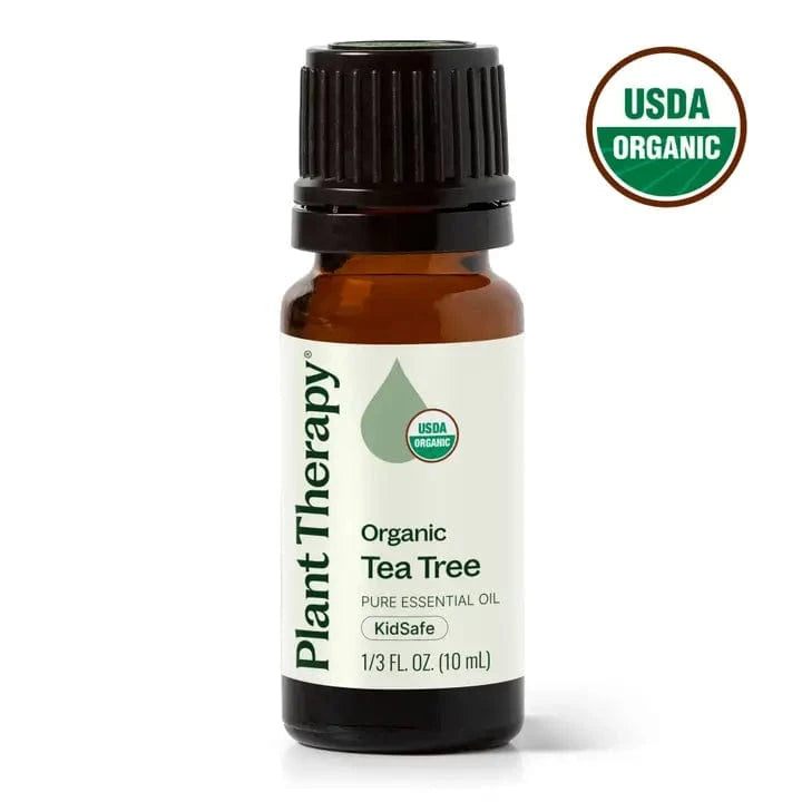 Organic Tea Tree Essential Oil Plant Therapy Lil Tulips