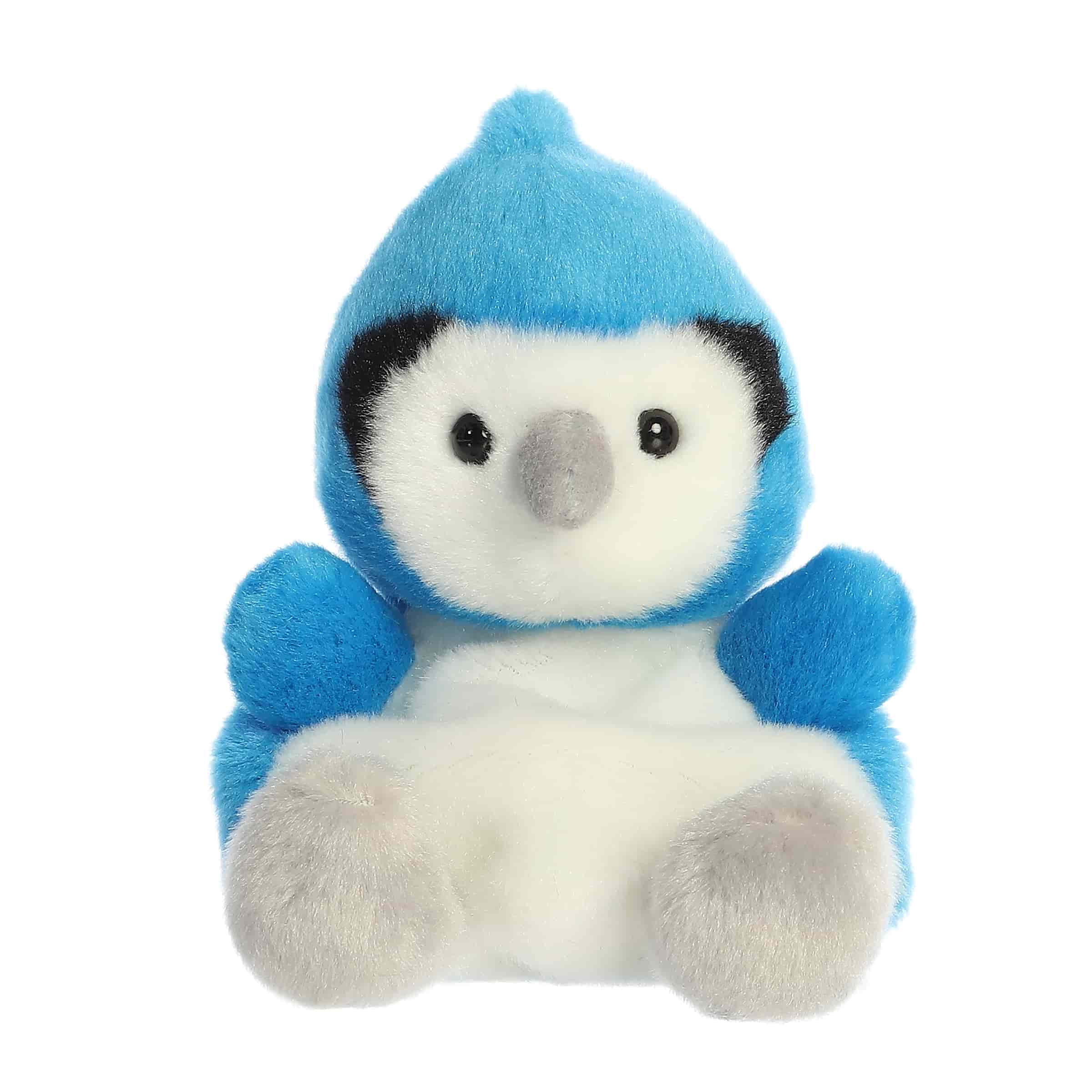 palm-pals-5-chatters-blue-jay-