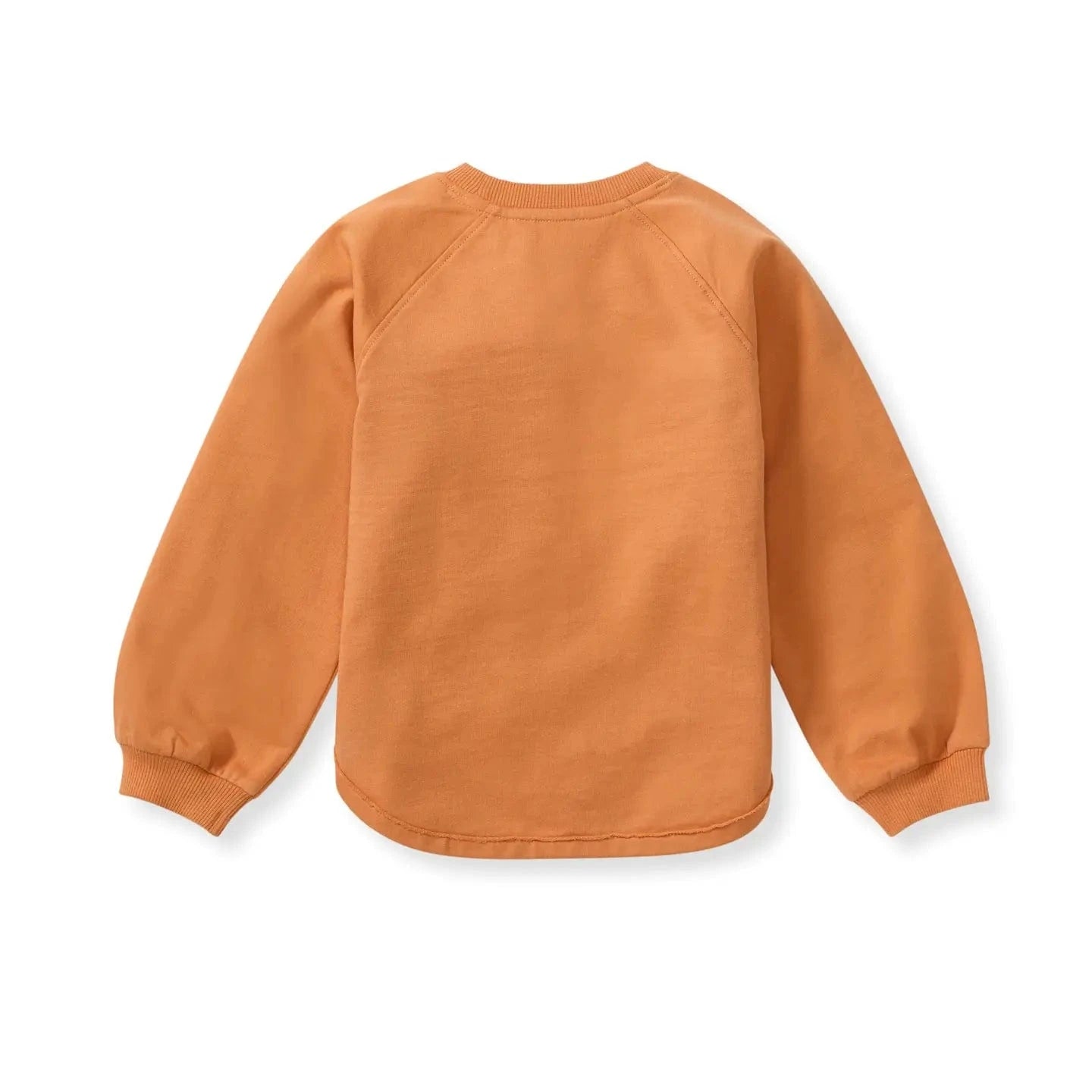 Pumpkin Organic Cotton Sweatshirt Burt's Bees Baby Lil Tulips