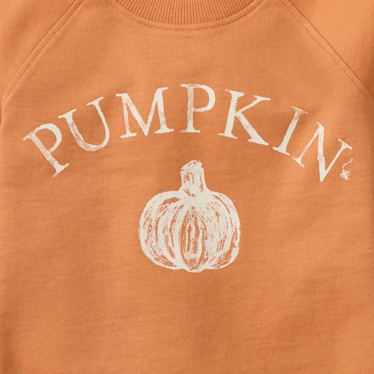 Pumpkin Organic Cotton Sweatshirt Burt's Bees Baby Lil Tulips