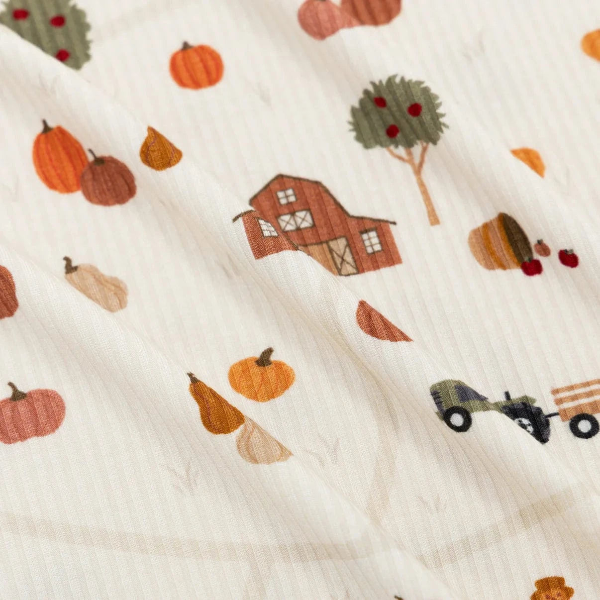 Pumpkin Patch Small Ribbed Zip Romper Brave Little Ones Lil Tulips