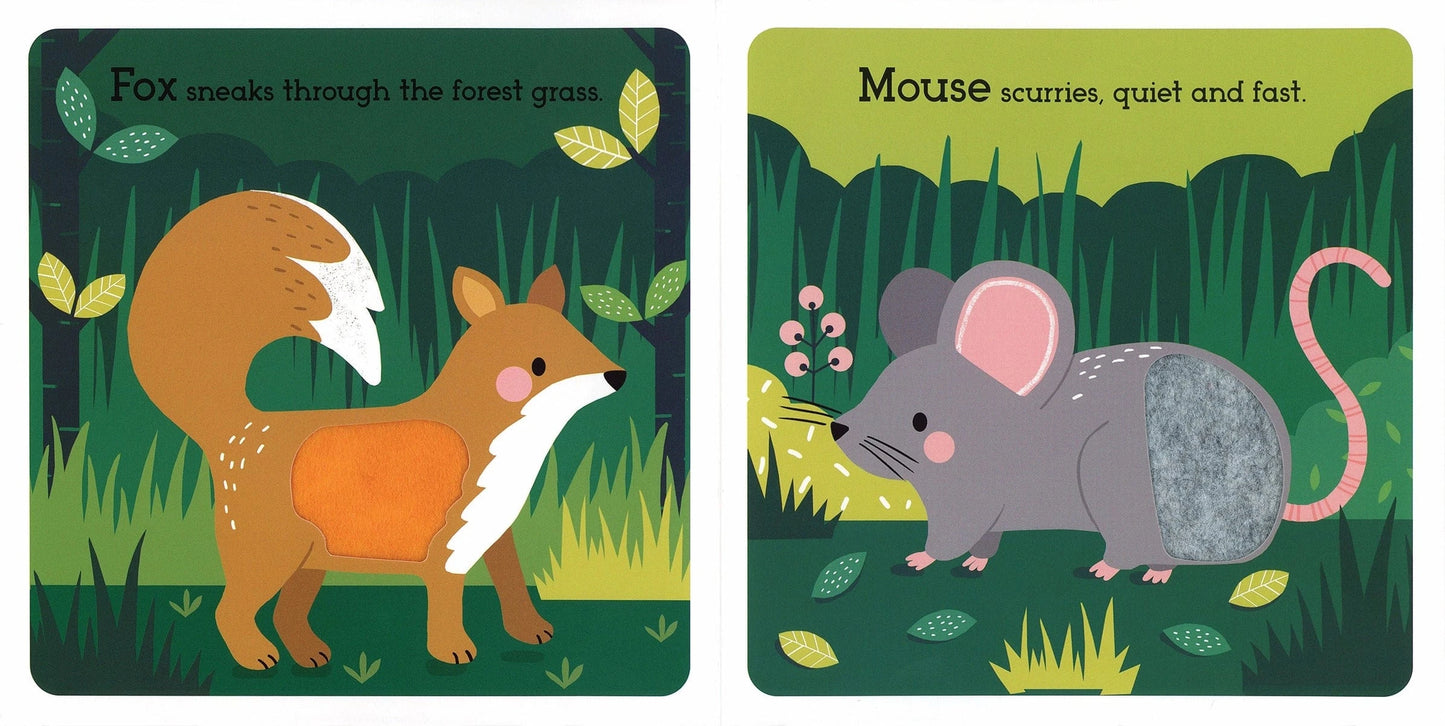 Read, Touch, Discover: Wonderful Wildlife EDC Publishing Lil Tulips