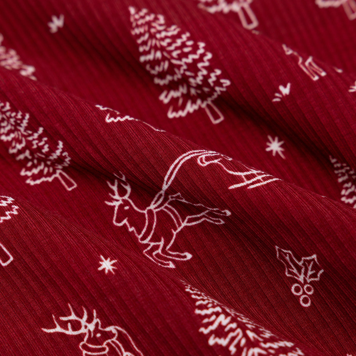 Reindeer & Santa Sleigh Small Ribbed Two-Piece Set Brave Little Ones Lil Tulips