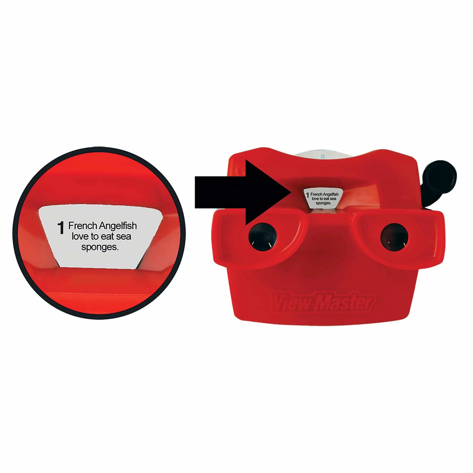 Retro Style ViewMaster Schylling Inc. Lil Tulips