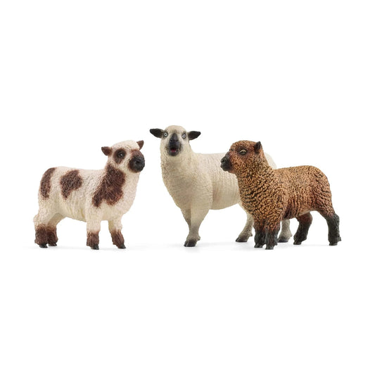 Sheep Friends Playset Schleich Lil Tulips