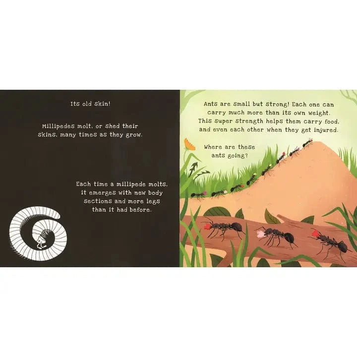 Shine-A-Light: Backyard Bugs EDC Publishing Lil Tulips