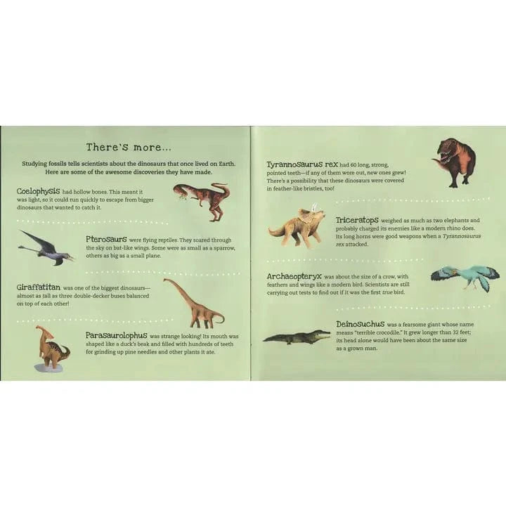 Shine-A-Light: Dinosaurs EDC Publishing Lil Tulips