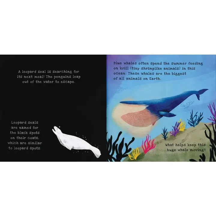 Shine-A-Light: Oceans EDC Publishing Lil Tulips