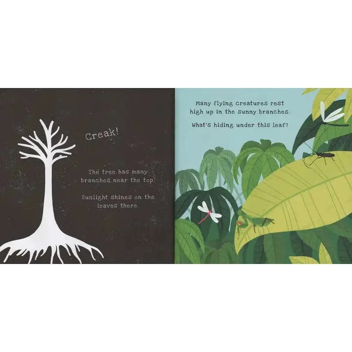 Shine-A-Light: Secrets of the Rain Forest EDC Publishing Lil Tulips