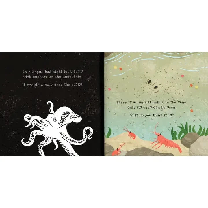 Shine-A-Light: Secrets of the Seashore EDC Publishing Lil Tulips